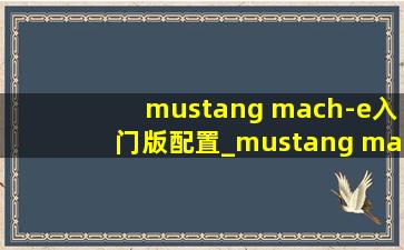 mustang mach-e入门版配置_mustang mach-e入门版